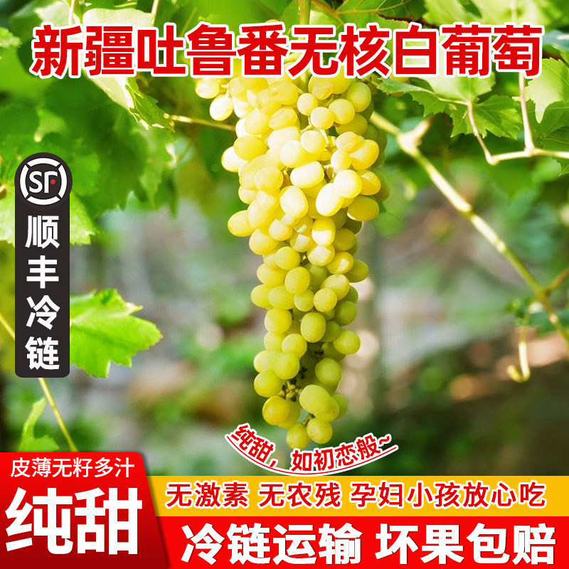 新疆吐鲁番无核白葡萄应当季新鲜水果无籽脆甜顺丰冷运整箱包邮