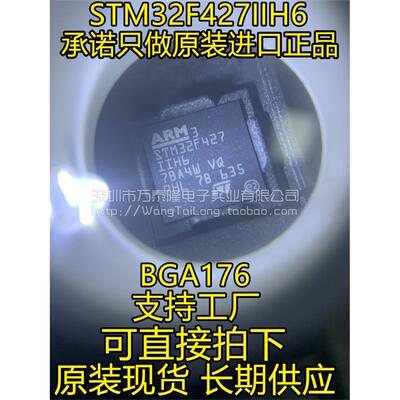 STM32F427IIH6BGA1控制