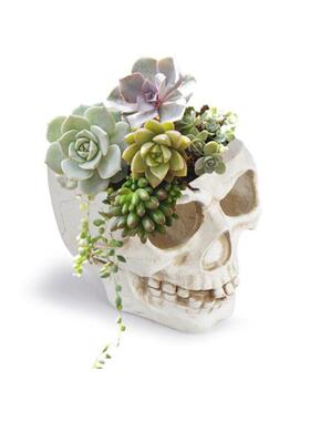 居家摆件树脂骷髅头电影拍摄布景道具花盆骷颅头万圣节田园花盆