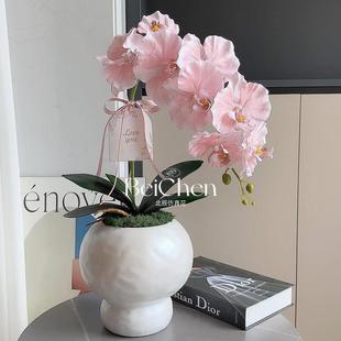 蝴蝶兰假花仿真花摆设客厅餐桌花艺摆件家居装 爆款 饰绢花盆栽拍摄
