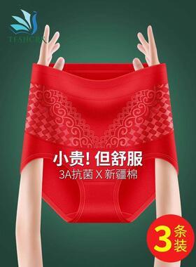 正品天梵茜施尔 康本命年红色纯棉抗菌高腰收腹提臀内裤女不卷边
