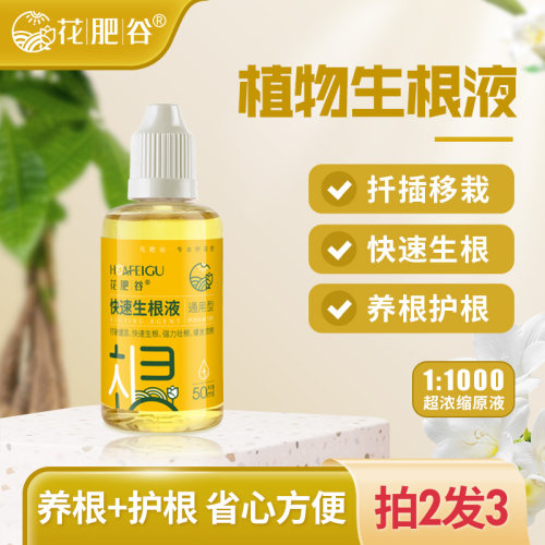 养花先养根，根好花才好