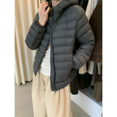 元派bluepops2025冬新国标90白鸭