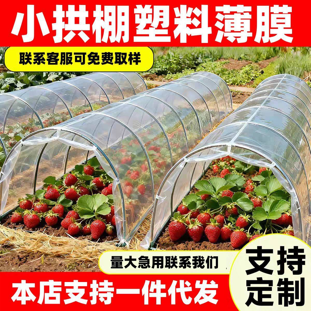 种菜小拱棚膜农用塑料薄膜保温防寒防冻透明塑料布塑料膜遮盖防水,橡塑材料及制品,塑料薄膜/塑料布,淘宝优惠券,粉丝福利购,淘宝优惠卷