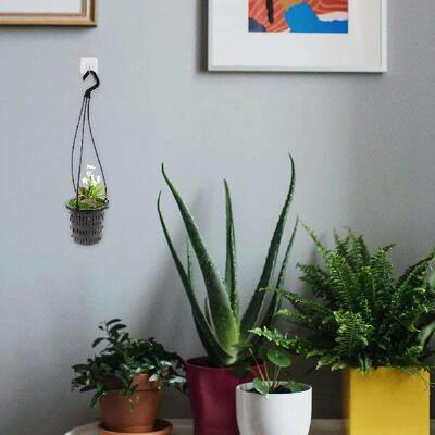 1Pc Black Net Pot 4 Hanging Orchid Planter 360J Hook Home