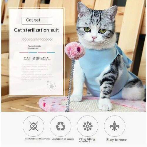 Cat Surgery Recovery Suit Pet Recovery Shirt For Abdominal