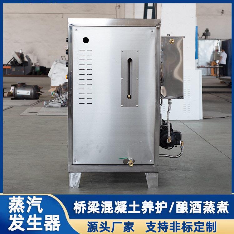 小型电加热蒸汽锅炉辊筒反应釜加热豆浆酿酒304不锈钢蒸汽发生器