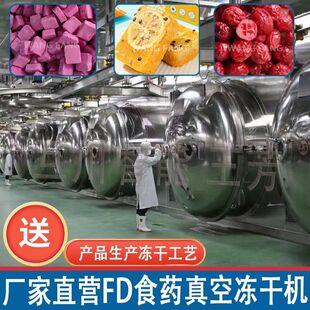 工厂直供200平药品冻干机商用 美容冻干粉设备 食品真空干燥机