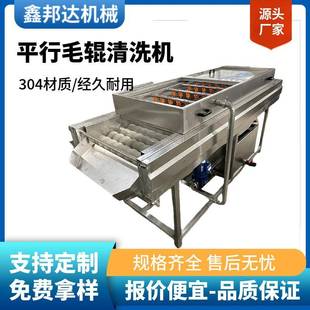 糯米粽叶双层毛辊清洗机全自动粽子粽叶清洗加工生产线