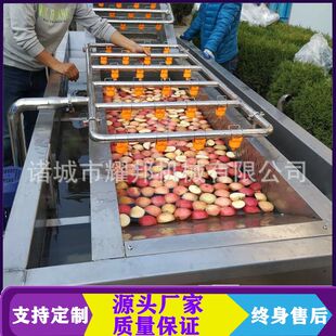 百香果水果清洗机 喷淋气泡苹果清洗机商用 工业大型全自动洗果机