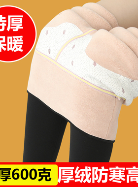 鲨鱼裤女外穿保暖无痕加绒加厚棉裤打底裤秋冬高腰大码特厚600克