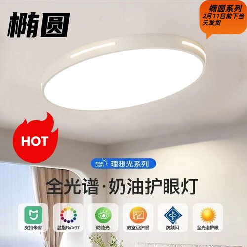 定制椭圆LED灯吸顶灯现代吸顶灯