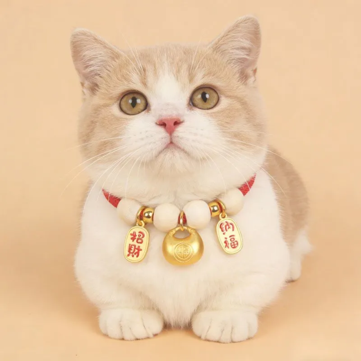 宠物驱虫项圈体外防跳骚除虱子驱蚊猫项圈狗项圈猫咪狗狗无声项圈