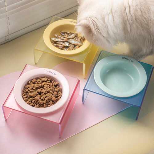 韩国bd同款飞碟碗猫碗可爱陶瓷宠物碗狗碗猫咪食盆喝水餐桌带碗架