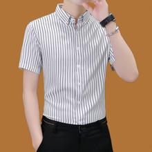 短袖男潮牌潮流衬衫夏季修身半袖条纹衬衣服高档商务休闲冰丝凉感