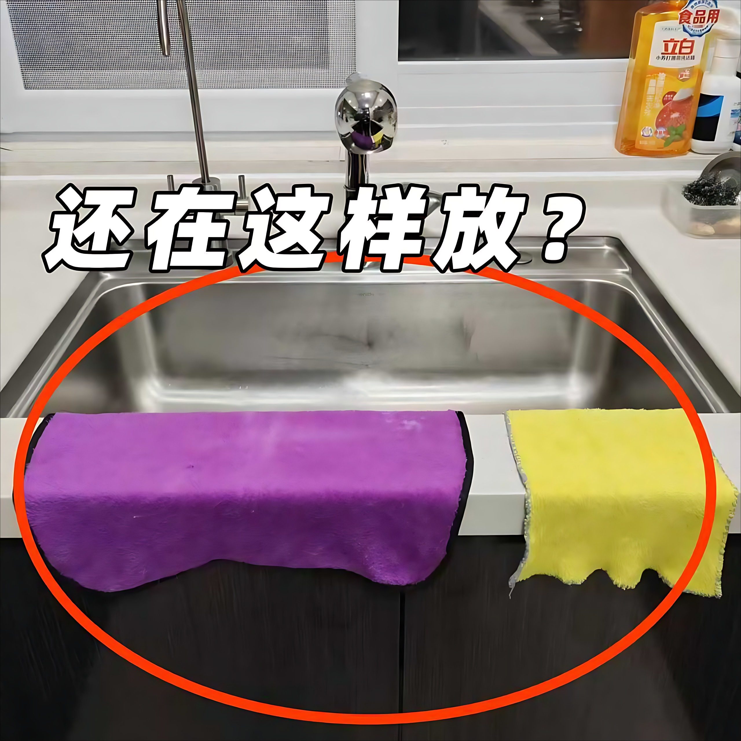 吸盘厨房抹布架置物架洗碗槽窗台多杆旋转沥水架壁挂微波炉清洁器,家庭/个人清洁工具,微波炉清洁器,淘宝优惠券,粉丝福利购,淘宝优惠卷