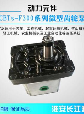 CBTS-F300系列齿轮泵高压齿轮泵液压油泵液压厂家直发现货长江液