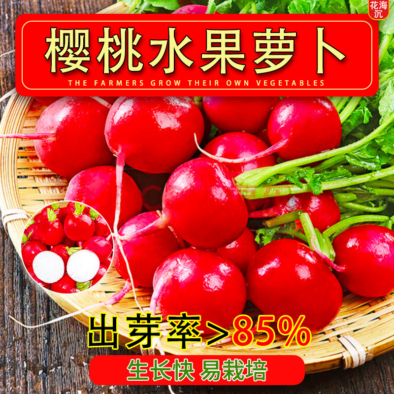 樱桃萝卜种子种籽子菜种菜籽罗卜大全盆栽四季水果萝卜小水孑籽种
