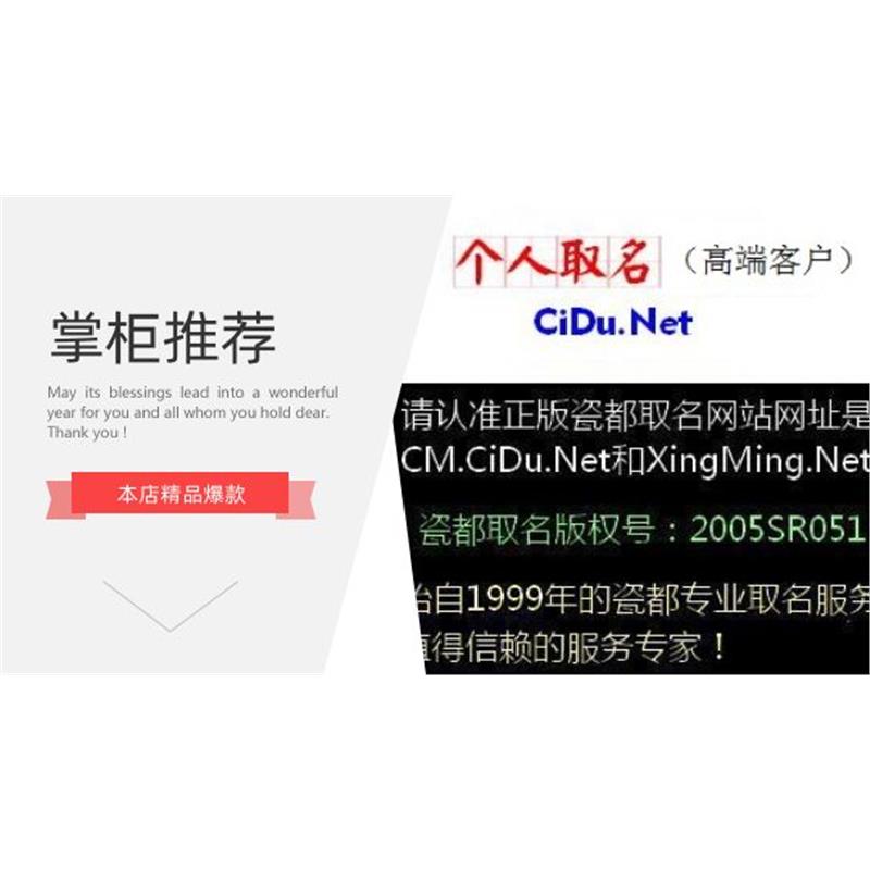 个人取名宝宝起名改名（V8）（瓷都取名，版权号：2005SR051）