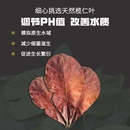 榄仁叶斗鱼懒人叶鱼龟缸降酸PH值调节剂水族水质改善