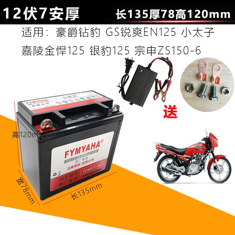 钱江摩托车125/150通用电瓶钱江太子 金刚御龙12V7A免维护蓄电池