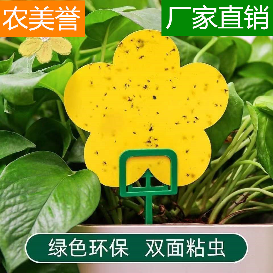 垃圾桶飞虫贴双面胶灭虫神器