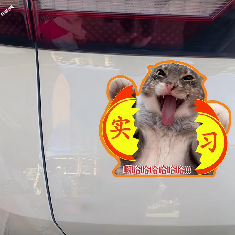 哈基米实习车贴搞笑创意文字新手司机实习期反光磁贴汽车装饰贴纸