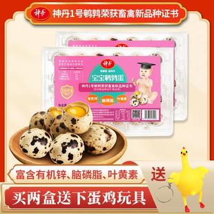 神丹宝宝鹌鹑蛋24枚盒装脑磷脂锌含量高无抗生素小蛋高蛋白去壳