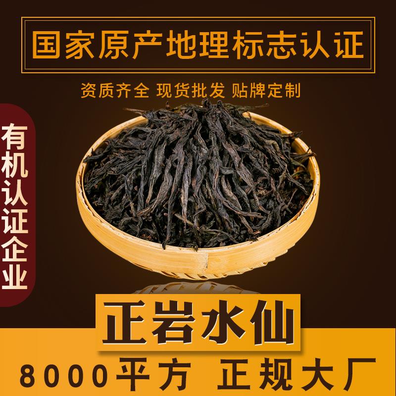 正岩水仙福建武夷山闽北乌