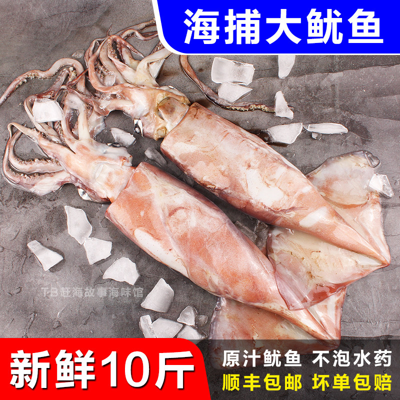 新鲜大鱿鱼海鲜超大鱿鱼须去皮免清理生鲜铁板烧烤海鲜冷冻商用
