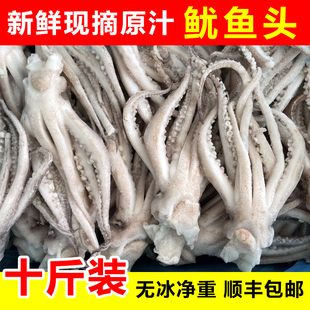 鱿鱼须新鲜鱿鱼头鱿鱼爪现切二本足火锅铁板烧食材生鲜海鲜水产