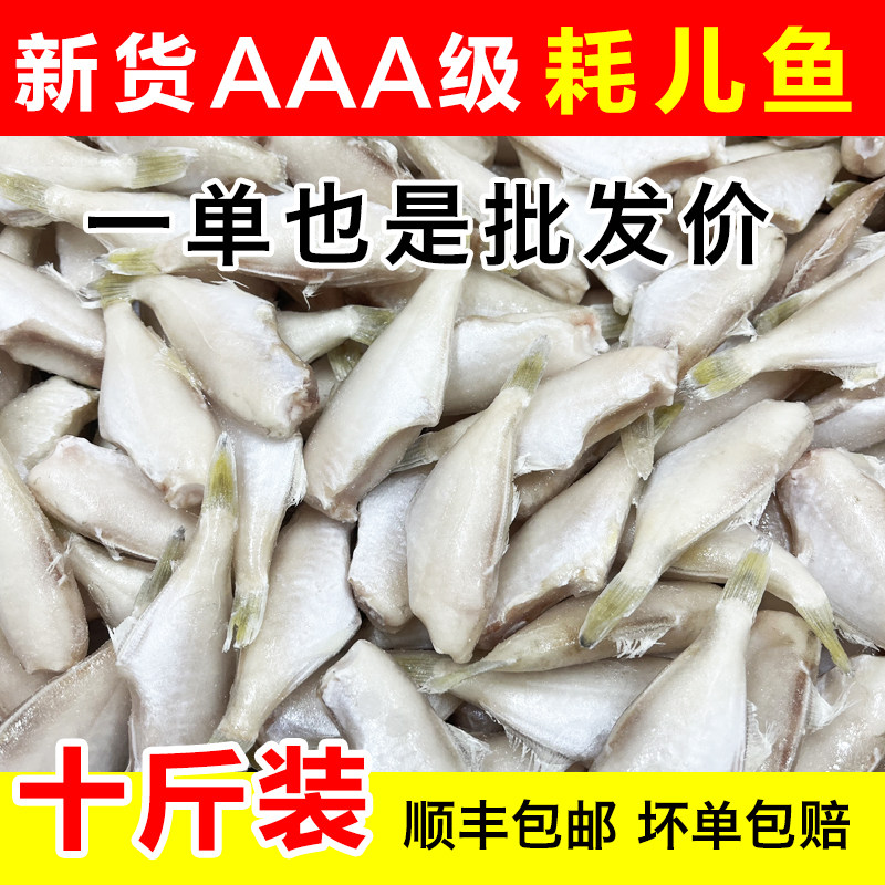 耗儿鱼剥皮鱼小号中号大号海鱼新鲜冷冻老鼠鱼10斤马面鱼扒皮鱼