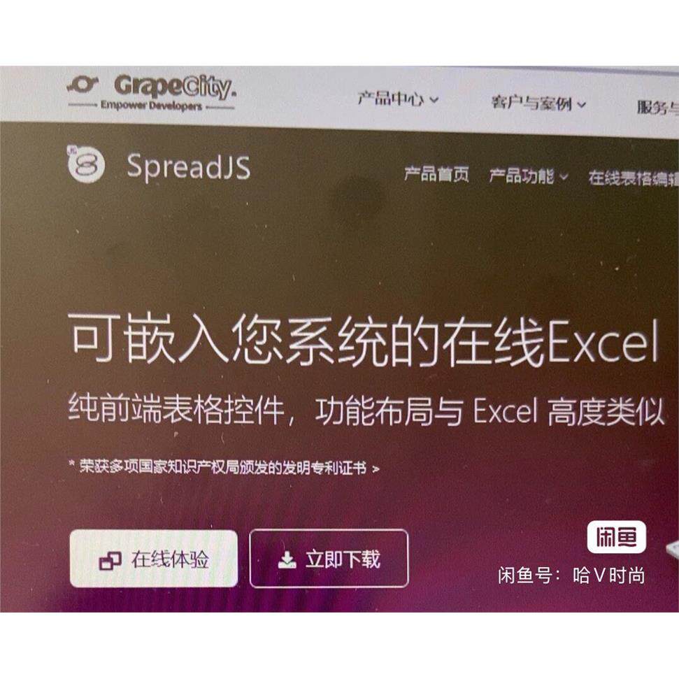 Spreadjs软件开发集成方案