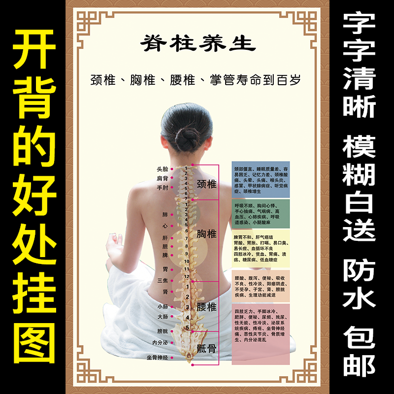 背诊图中医养生馆墙贴纸装饰画美容院背部筋络疏通脊柱养生海报图