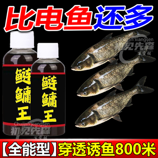 浓缩鲢鳙小药花鲢白鲢大头鱼饵料野钓水库鱼饵胖头鱼小药窝料浮钓