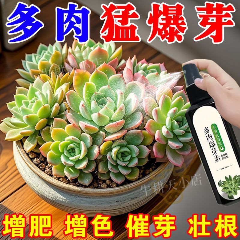 植物营养液通用型花草盆栽水培绿萝多肉发财树富贵竹专用花卉肥料