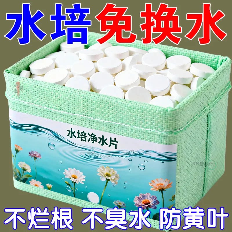 鲜花净水片水培植物消毒片水养花卉保鲜剂净化水质花其它园艺用品