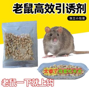 老鼠诱粉蟑螂诱饵料捕捉器强效捕鼠器颗粒饵料家用粘鼠板诱饵料