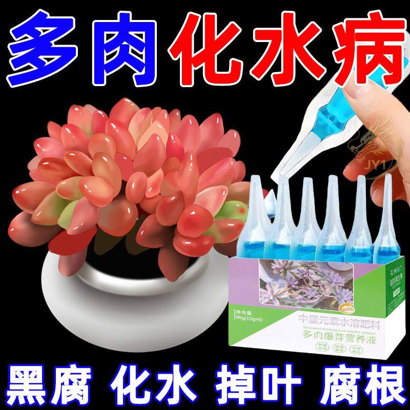 植物再生剂复活液花卉绿植盆栽通用光杆发黄发财树多肉生长营养液,鲜花速递/花卉仿真/绿植园艺,家庭园艺肥料,淘宝优惠券,粉丝福利购,淘宝优惠卷