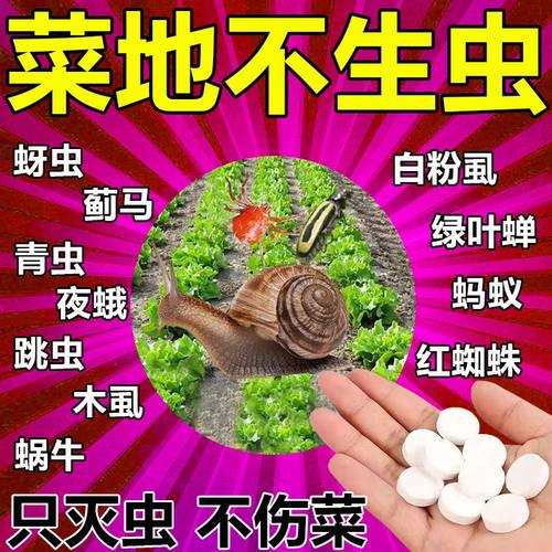 园艺防虫片驱虫除蚜虫蓟马白粉虱糖化硼肥片盆栽果花卉植物防烂根