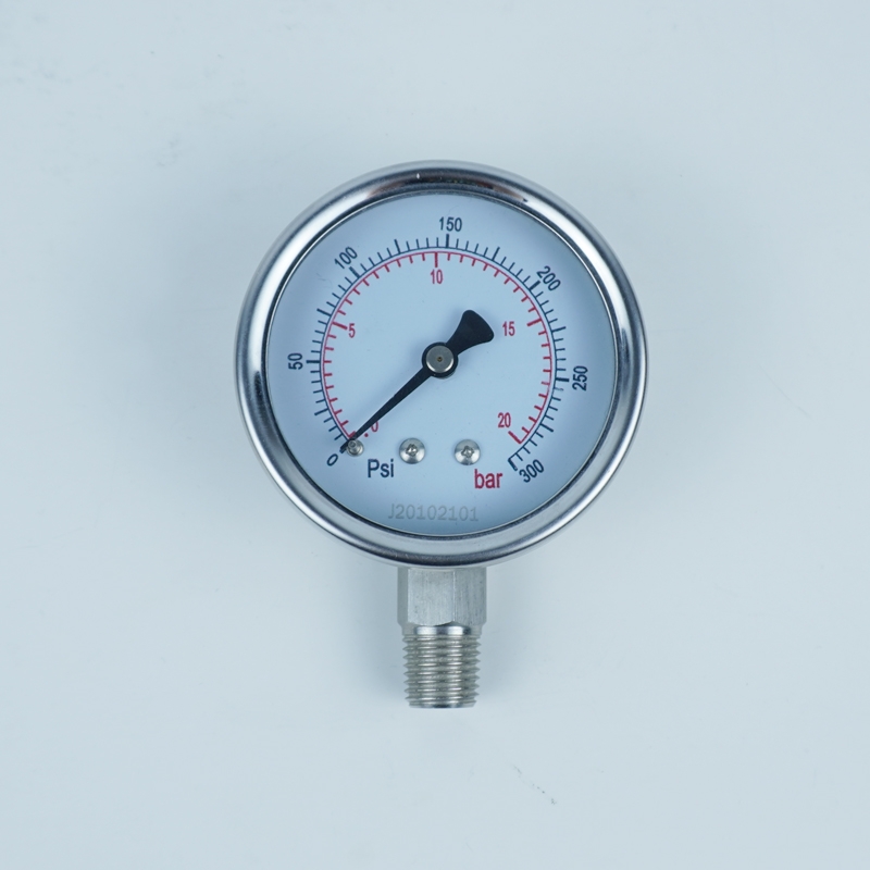 布莱迪自动化不锈钢压力表Y-60BF 螺纹1/4NPT 0-20bar/0-300psi