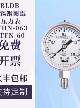 BLDB布莱迪YTHN-063.AO全不锈钢耐震压力表径向精度2.5级M14*1.5
