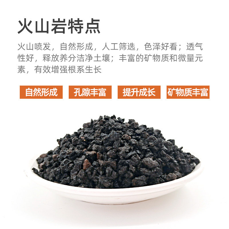 鱼缸黑色火山岩火山石底砂底沙鱼缸造景底床垫材垫底透气多肉盆栽,搬运/仓储/物流设备,机械式停车设备（立体停车库）,淘宝优惠券,粉丝福利购,淘宝优惠卷