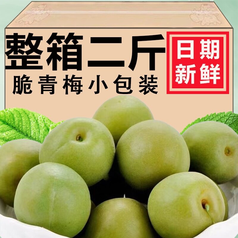青脆梅爽口梅500g清脆爽梅子水果腌制青口梅散装新鲜大青脆梅青梅