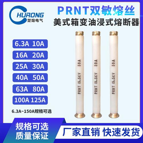 双敏熔丝PRNT-15.5KV/63A美式箱变插入式油浸式支架用高压熔断器