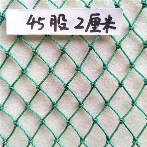 2厘米网眼聚乙烯防鸟网果园防鸟果树防鸟养鸡网养殖网鸡鸭雏鹅网