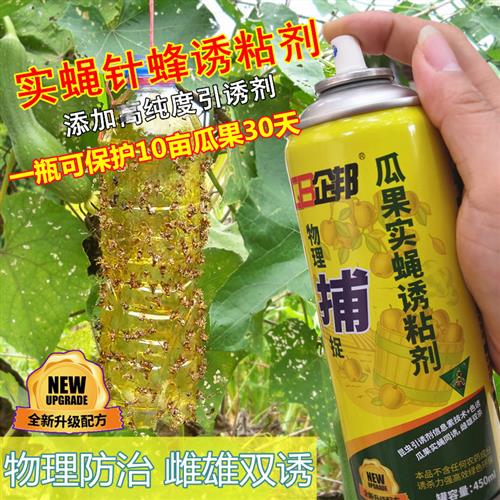 瓜果实蝇针蜂诱粘剂  果蝇昆虫诱黏 果园针蜂诱捕剂 引诱剂诱捕器