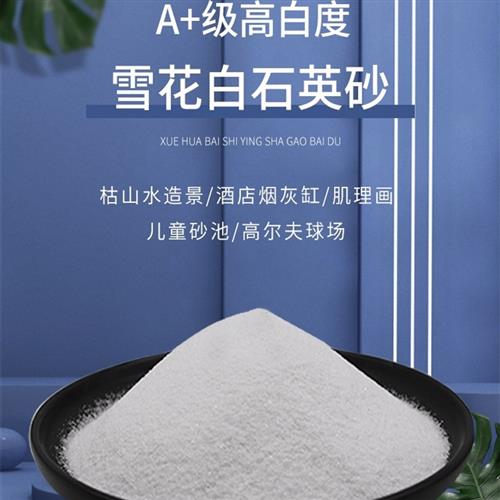 50斤白沙石英砂白色鱼缸底砂酒店垃圾桶烟灰缸枯山水造景儿童沙滩