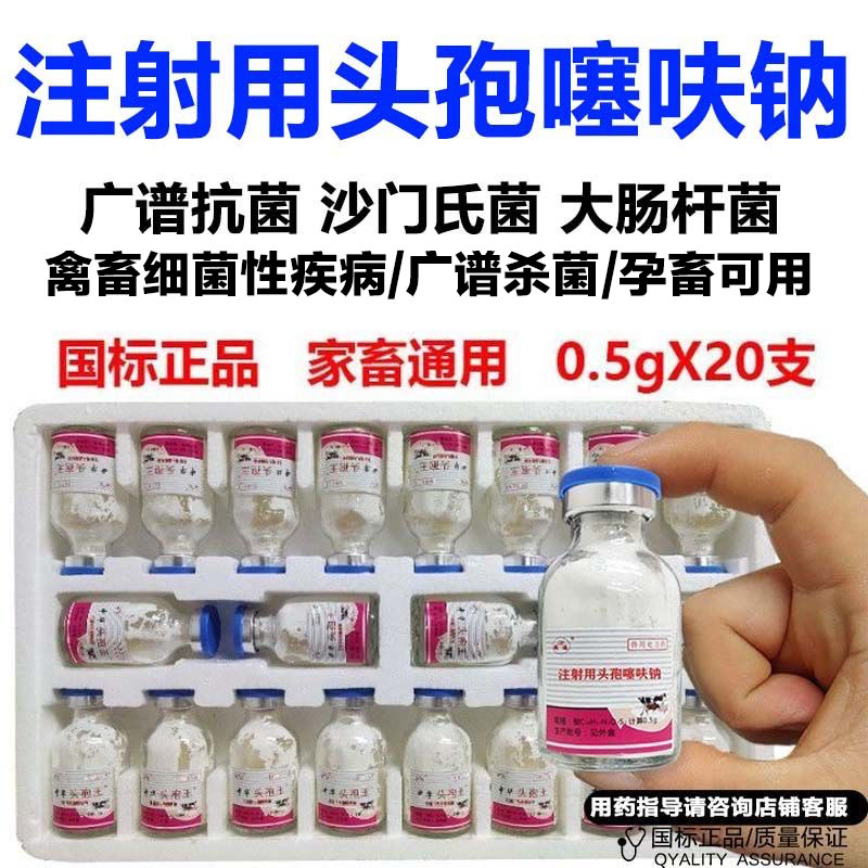 鹏迪头孢噻呋钠注射兽用猪牛羊鸡