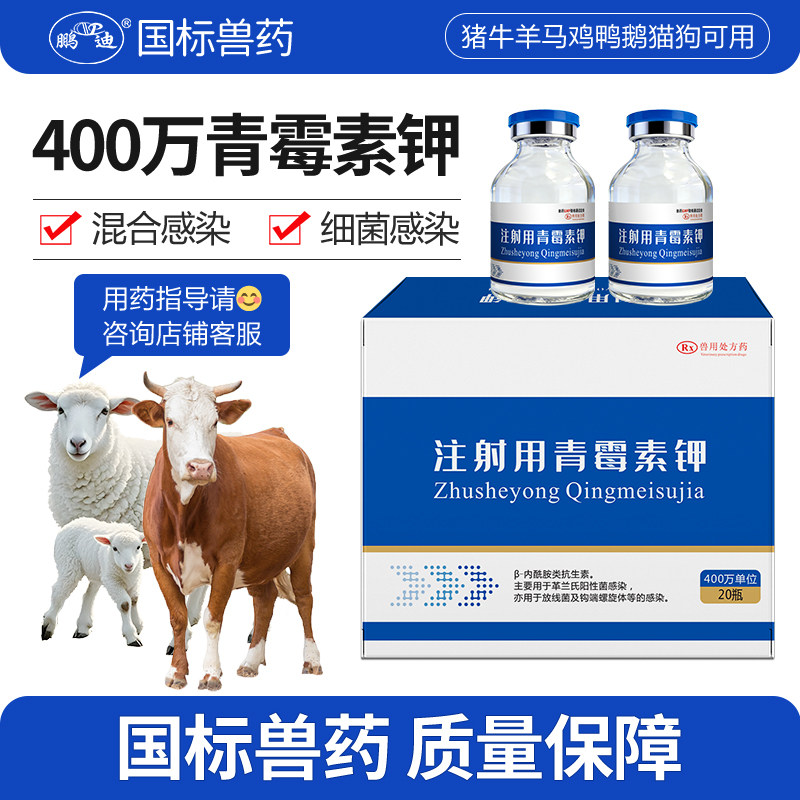 鹏迪400万单位青霉素钾兽用兽药青霉素猪牛羊鸡鸭鹅禽注射用正品